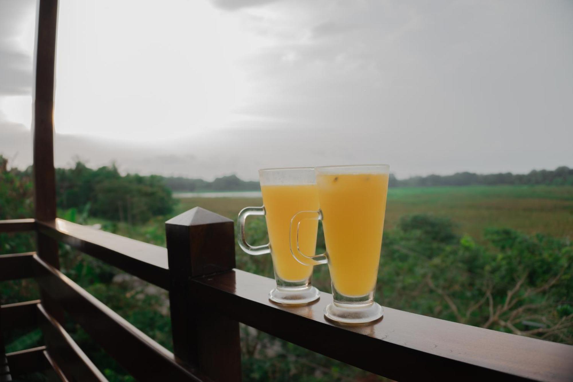 Wilpattu Restaurant & Guest House Pahala Maragahawewa المظهر الخارجي الصورة
